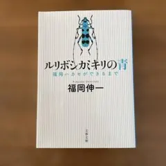 003様 リクエスト 4点 まとめ商品