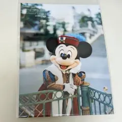 ディズニー　イマジニングザマジック　ミッキー　　実写　写真