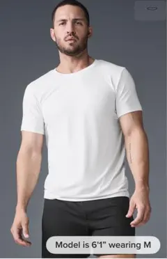 2026年最新】ALO Yoga カラー：ホワイト系 メンズ Tシャツの人気