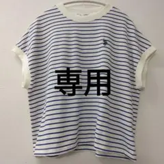 《てれぱんだ様専用》しまむら　ポロアッスン 　ボーダー　Tシャツ　青　M