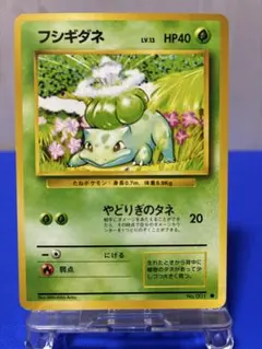 フシギダネ HP40 No.001　旧裏 ポケモンカード フシギダネ No.001 HP40 - メルカリ