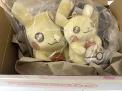 ポケモン30周年記念　ピカピカ！ピカチュウぬいぐるみ & マスコット