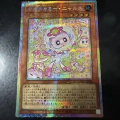 マルチャミー・ニャルス　プリシク