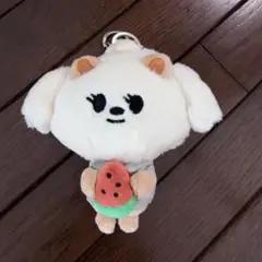 PPULBATU SUMMER TOGETHER バムグッ キーリング ボムギュ