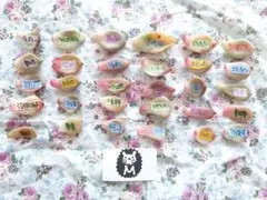 Ⓜ 多肉 葉挿し セット おらいさん パクさん ブランド 韓国苗 30種 レアのサムネイル