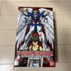 PG ウイング ガンダムZero エンドレスワルツ ジャンク プラモデル 現状