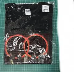 EXILE THE SECOND フォトロングスリーブＴシャツ Lサイズ