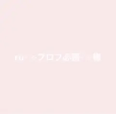 ru⋆˙⟡プロフ必読⋆˙⟡様専用ページ