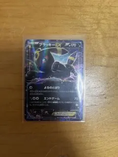 ブラッキーEX RR XY BREAK 拡張パック めざめる超王 キラ 042… - メルカリ
