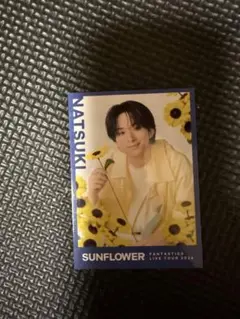 FANTASTICS SUNFLOWER フォトカ シクレ 澤本夏輝