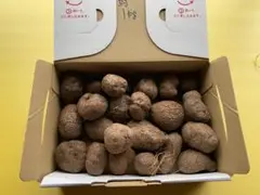 ようちゅけ様 リクエスト 3点 まとめ商品