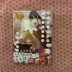 ある日、お姫様になってしまった件について 12巻　コミックのみ
