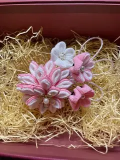 Item thumbnail for item dd972f2b-d9d2-41e8-8d12-84473a923718