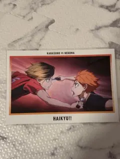 ハイキュー ハイキュー展 ゴミ捨て場の決戦 ポストカード 烏野音駒