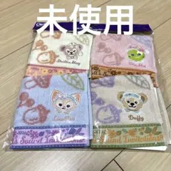 東京ディズニーリゾート　フォールズサウンドインビテーション　ミニタオルセット