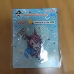 2026年最新】ナリタタイシン アクリルの人気アイテム - メルカリ