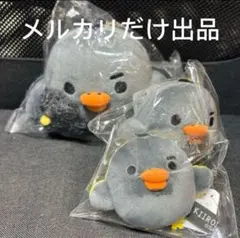 2025年最新】キイロイトリ ブラックの人気アイテム - メルカリ