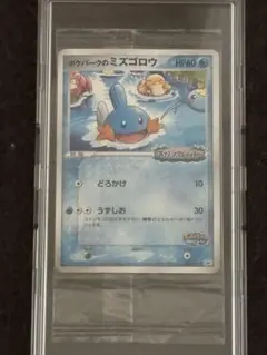 【未開封】 ポケパークのミズゴロウ 048/PCG-P