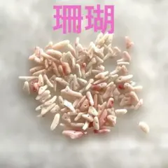 2026年最新】枝珊瑚の人気アイテム - メルカリ