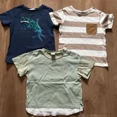 Tシャツ　100㎝　恐竜　サメ　ボーダー　プティマイン　エイチアンドエム