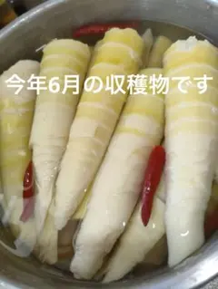 埼玉県産　乾燥真竹たけのこ (干したけのこ) 100g ¥1000のサムネイル