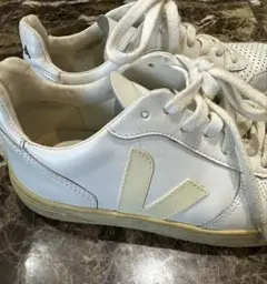 Item thumbnail for item e14e66e2-dbba-4f2c-b33a-ba08ed8312c7