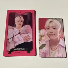 スングァン　シーグリ