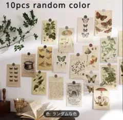 Item thumbnail for item 04fad4e0-1a83-48af-86a4-b2672fd28042