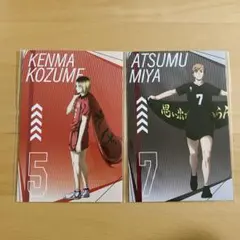 ハイキュープラザ　特典　ポスカ