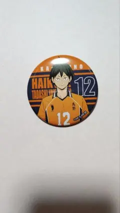 山口忠 缶バッジ