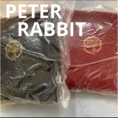 Item thumbnail for item ef360df6-87fa-4063-b262-0b7656c55b58