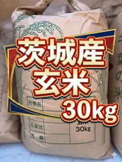 令和7年産】茨城県産 コシヒカリ 玄米 30kg 有機肥料・減農薬栽培