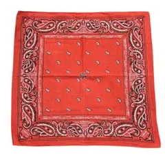 2025年最新】リーバイス バンダナの人気アイテム - メルカリ