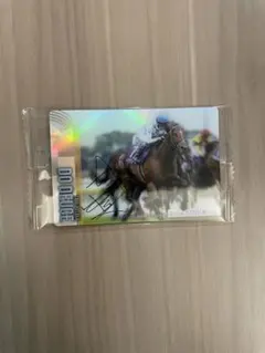 サラブレッドホースコレクション ドウデュース 金箔サイン入り
