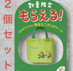 【新品未開封】2個セット ゼスプリ ランチトート バッグ