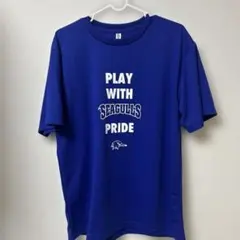 Item thumbnail for item d5c70b02-9a12-4e98-b156-ee4ee23e63b8