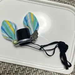 Item thumbnail for item d726abaa-aa2c-418a-be75-3f97b7a928ca