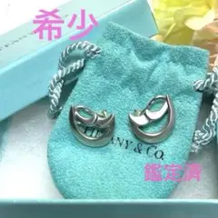 ✨希少✨Tiffany&Co.クレセントムーンイヤリング 925 三日月 鑑定済のサムネイル