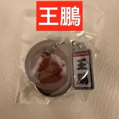 未開封　大相撲　NEW！ダブルチャームメタルキーホルダー　王鵬　ガチャ