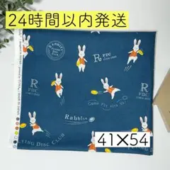 シーチング うさぎ柄 フリスビー ネイビー yuwa コトリエンヌ