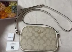 Item thumbnail for item 31ef0c7b-c1f3-465b-a7a9-e91d6bf51fee