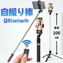 Item thumbnail for item cd9cf02d-8d9a-43b9-aefc-73439b24fff2