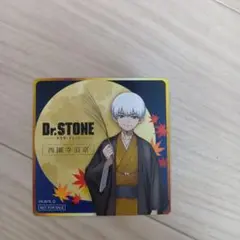 2026年最新】dr.stone まねきねこの人気アイテム - メルカリ