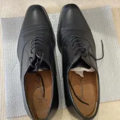 Item thumbnail for item 8c9b3ea1-fd36-4a7b-943c-216dc665efeb