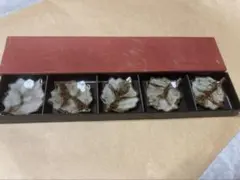 Item thumbnail for item e3bfe6d2-f4a8-48c1-aebe-366090af6984