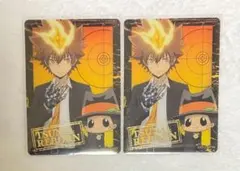 家庭教師ヒットマンREBORN! 沢田綱吉 箔押しクリアカードコレクション