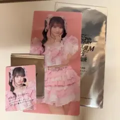 Item thumbnail for item d026b9b9-43f5-475c-be84-266d34cced5d