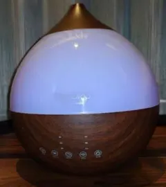 Item thumbnail for item fc7a3b72-243e-44e4-b742-9093c568a088