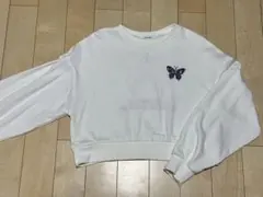 INGNI Mサイズ レディース　ショート丈　トレーナー バタフライプリント