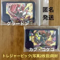 グラードン ／ カプ・コケコ